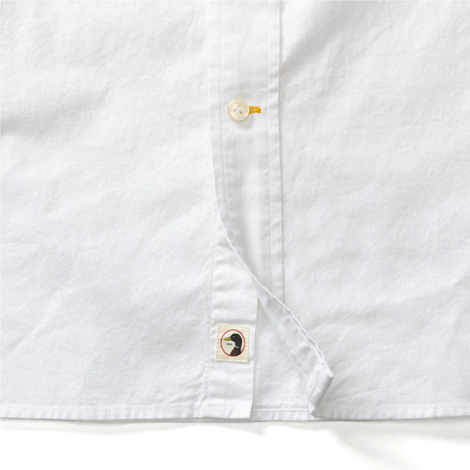 Cotton Oxford Sport Shirt- Morris Solid White