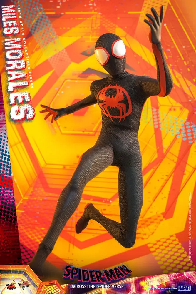 HOT TOYS - Marvel - Spider-Man Across The Spider-Verse - Miles Morales 1:6 Action Doll