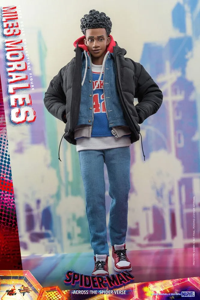 HOT TOYS - Marvel - Spider-Man Across The Spider-Verse - Miles Morales 1:6 Action Doll