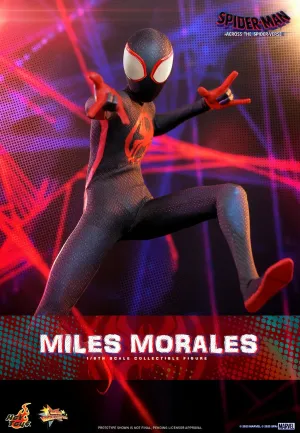 HOT TOYS - Marvel - Spider-Man Across The Spider-Verse - Miles Morales 1:6 Action Doll